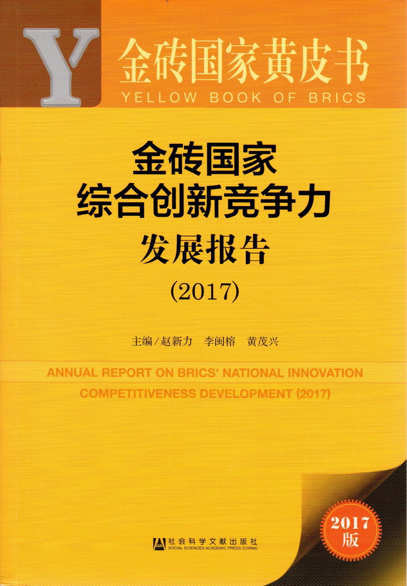 操大逼黄色视频金砖国家综合创新竞争力发展报告（2017）